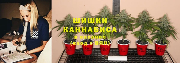 эйфоретик Зерноград