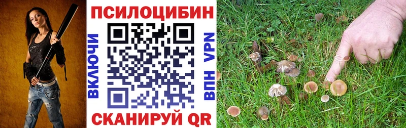 Купить  Бутурлиновка  Галлюциногенные грибы Cubensis 